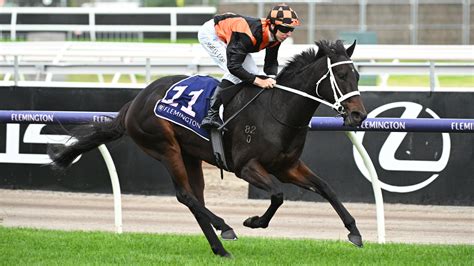 sa derby field|South Australian Derby 2024 .